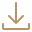 Download Icon