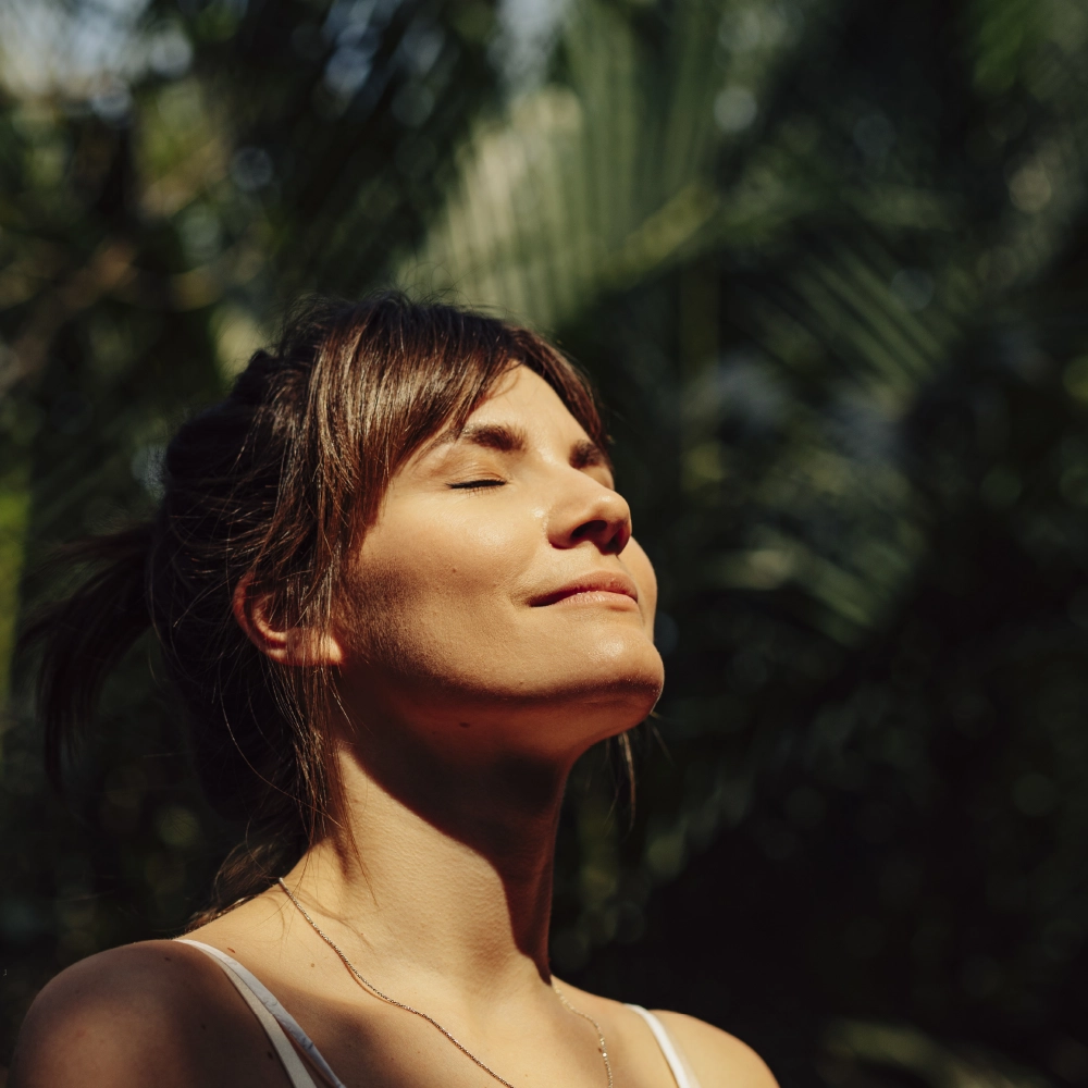 BPTP Verti Greens Overview